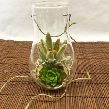 Succulent  Glass_Jarra